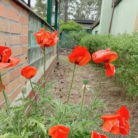Bungalow Am Kummerower See Meesinger بيت للعطل *